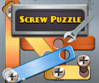 Screw Puzzle