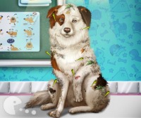Dog Pet Rescue