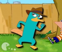 Perry Kick Up