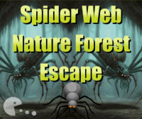 Spider Web Nature Forest Escape