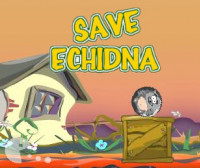 Save Echidna