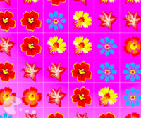 Flower Frenzy - Games online 6games.eu
