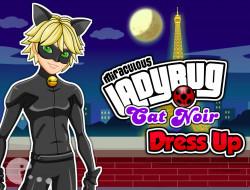 Miraculous Ladybug Cat Noir Dress Up - Games online
