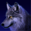 Bad_wolf